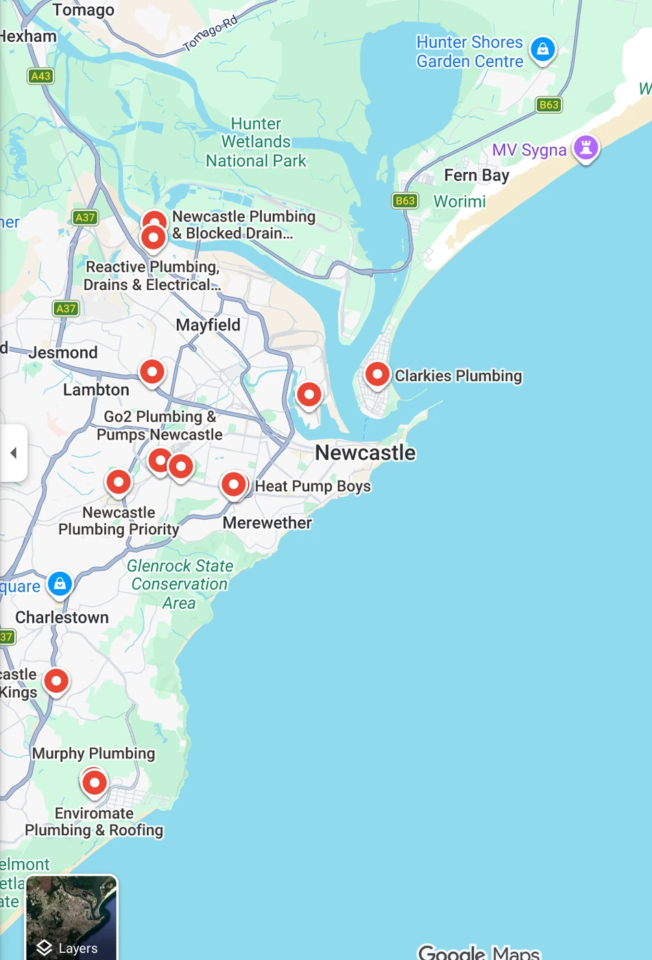 A Google Maps view of Newcastle with the Hunter River to the north, the ocean to the east and Lake Macquarie to the south, with results clustered near the city and thinning out west and south